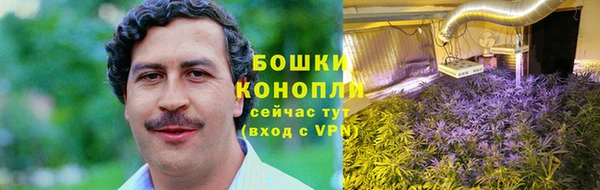 MESCALINE Арсеньев