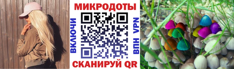 Псилоцибиновые грибы прущие грибы  Ясный 